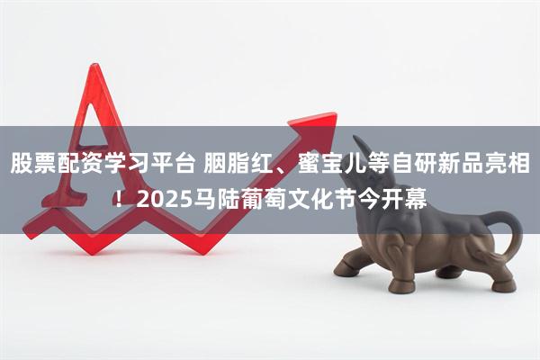 股票配资学习平台 胭脂红、蜜宝儿等自研新品亮相！2025马陆葡萄文化节今开幕