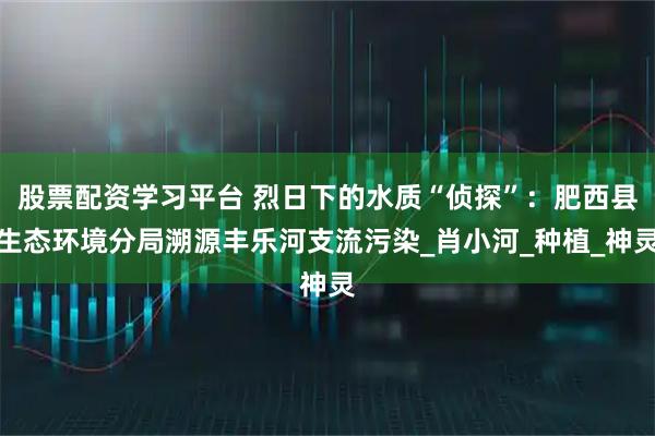 股票配资学习平台 烈日下的水质“侦探”：肥西县生态环境分局溯源丰乐河支流污染_肖小河_种植_神灵