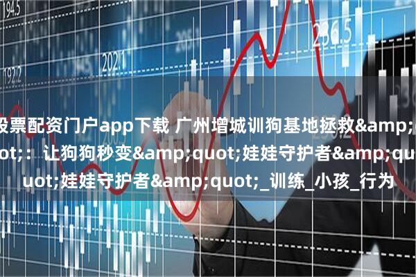 股票配资门户app下载 广州增城训狗基地拯救&quot;战场&quot;：让狗狗秒变&quot;娃娃守护者&quot;_训练_小孩_行为