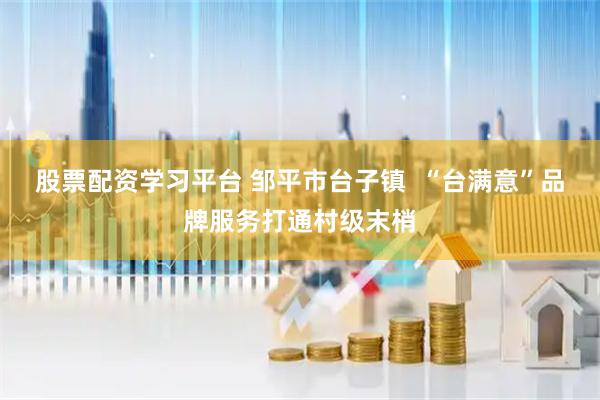股票配资学习平台 邹平市台子镇  “台满意”品牌服务打通村级末梢