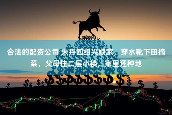 合法的配资公司 朱丹回绍兴娘家，穿水靴下田摘菜，父母住二层小楼，家里还种地